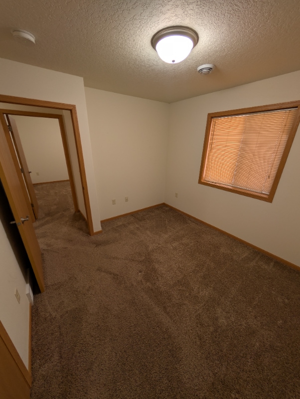 Building Photo - 2303 Damon St