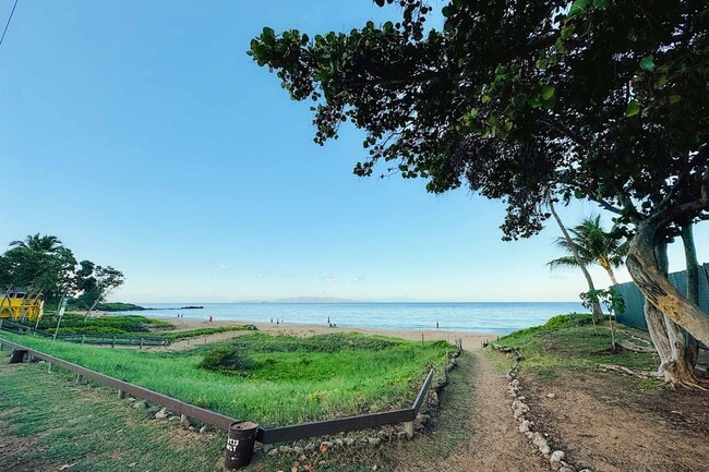 Building Photo - 2495 S Kihei Rd