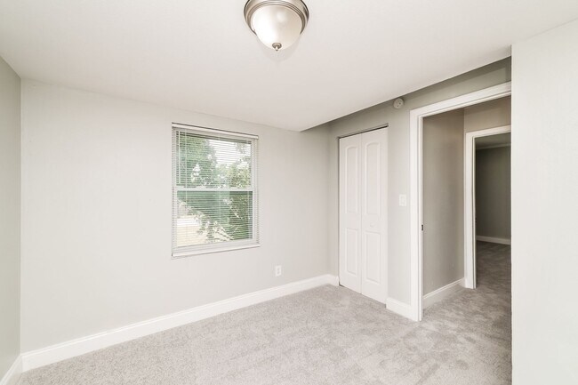 Building Photo - 5BR/2BA | Newly Renovated Single Family Home | Area for office | In Saint Petersburg!