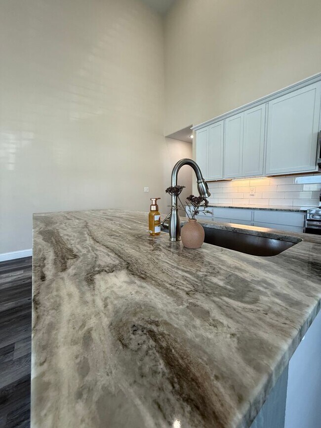 Building Photo - Beautiful modern Townhome in Peaster ISD NO Water Bill -  Fenced Yard - GATED: Spring Move in Spe...