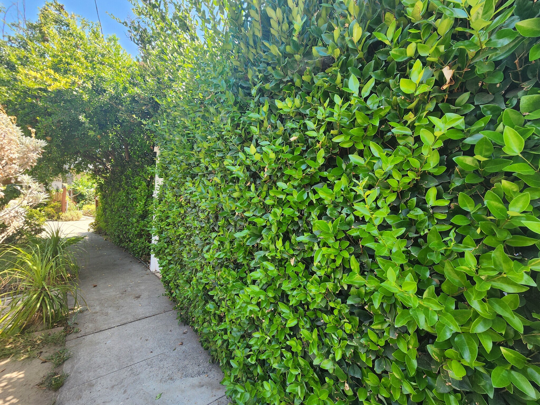 Building Photo - 6827 Murietta Ave