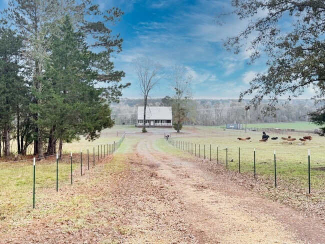 Building Photo - 3 Bed 2 Bath Home in Simsboro