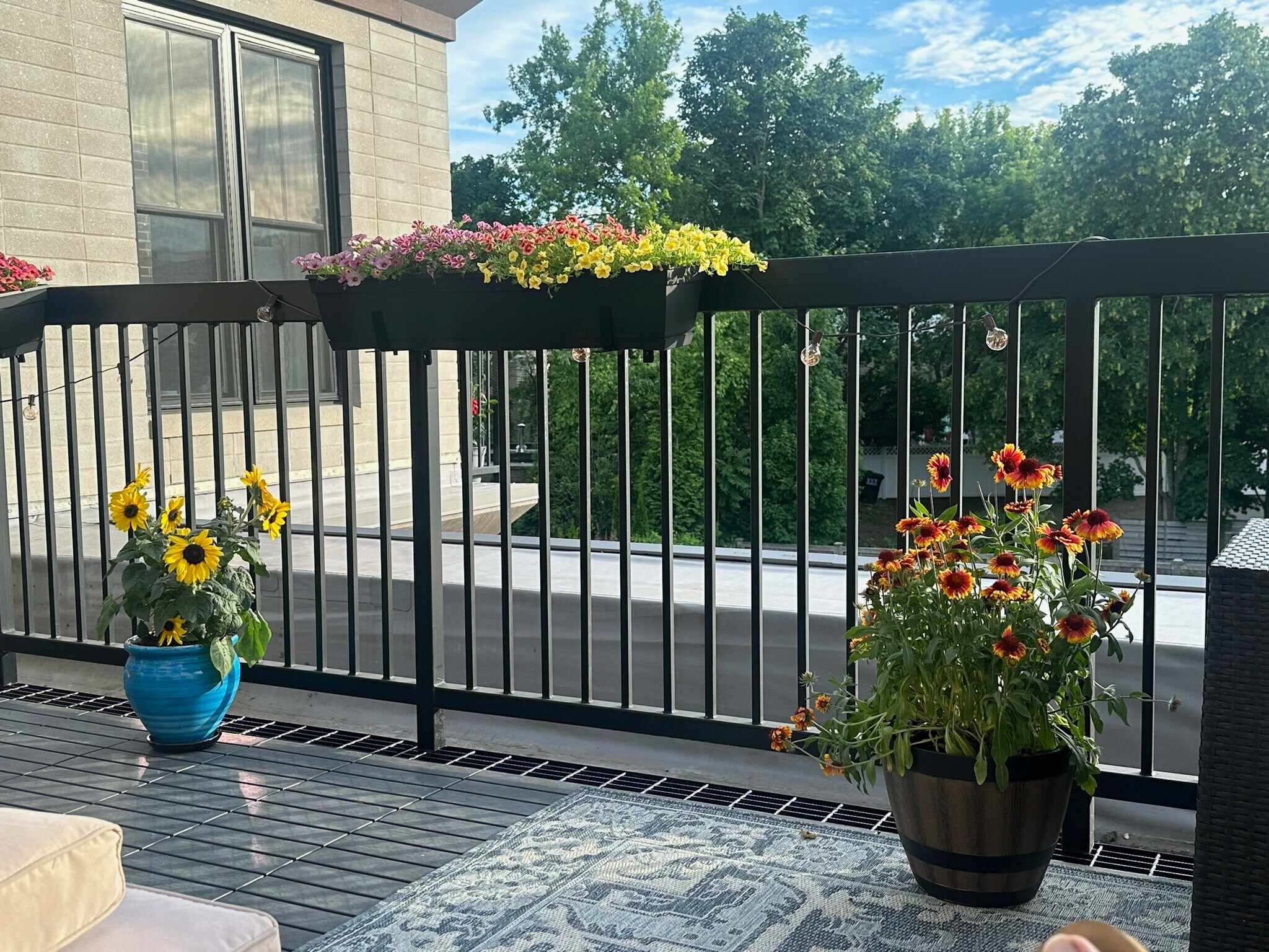 Building Photo - 430 McGrath Hwy