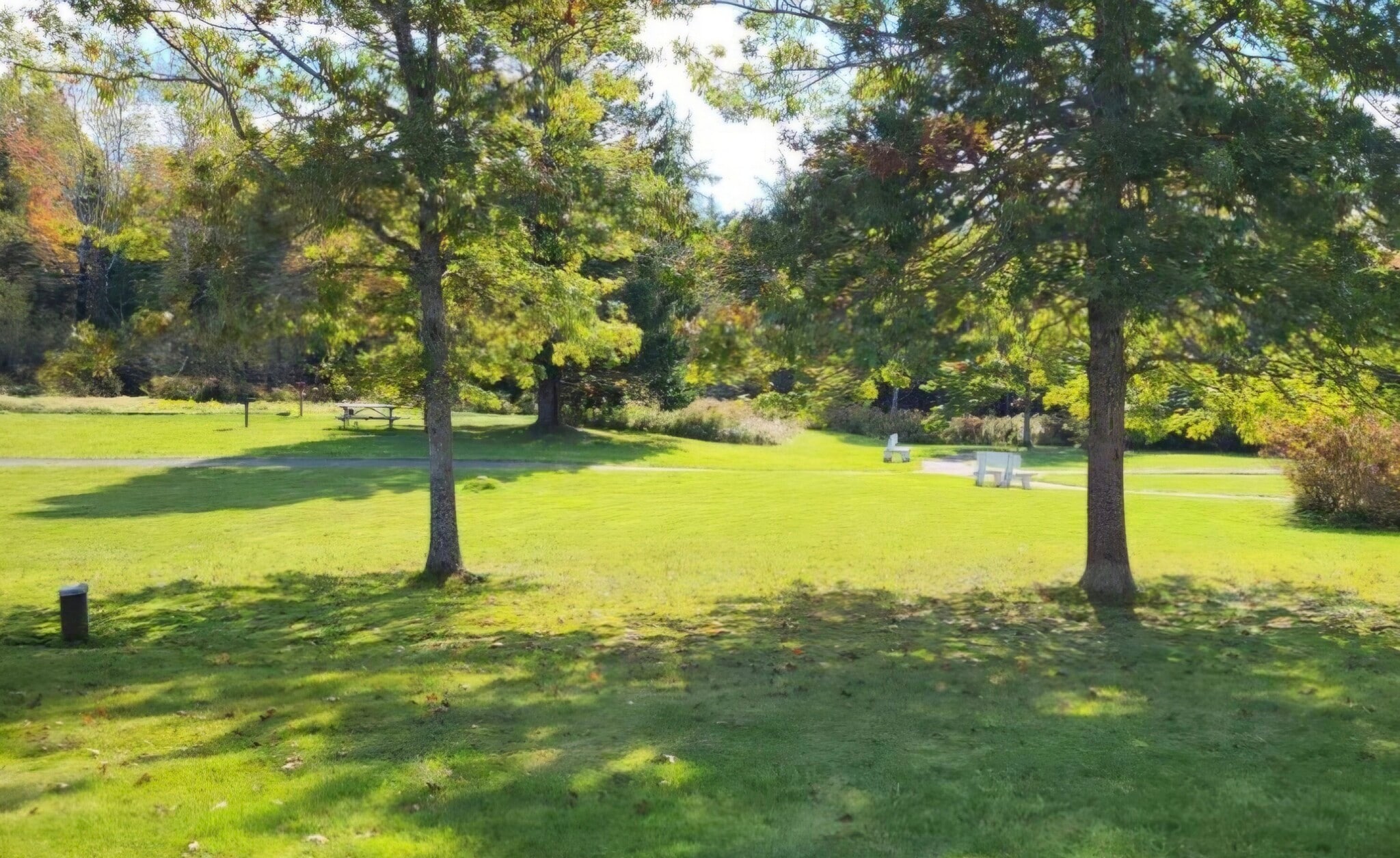 State Park just steps away! - 404 Bassetts Bridge Rd