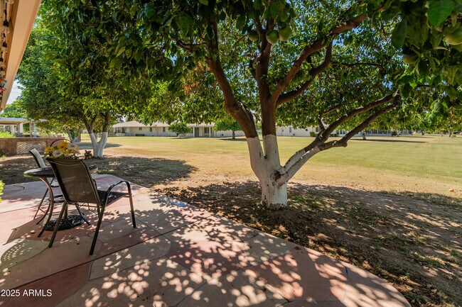 Building Photo - 10229 W Bolivar Dr