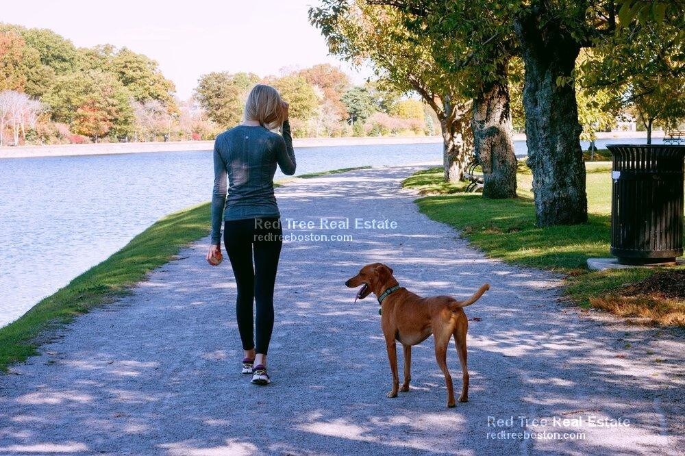 Building Photo - 33 Lancaster Terrace