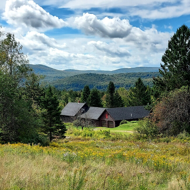 Summer, view from field - 1101 Heights Rd