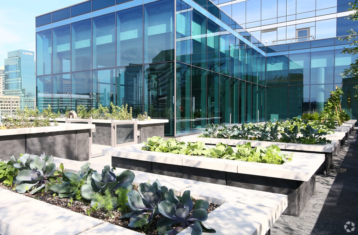 414 Light Street Baltimore Md Apartment Finder