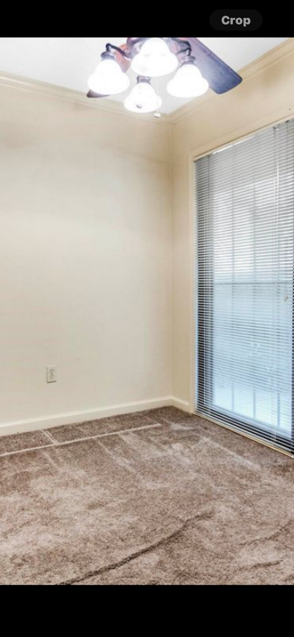 Building Photo - 5668 Los Gatos Dr