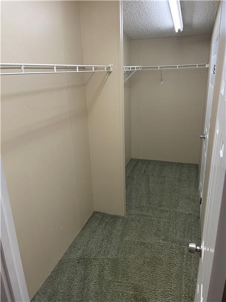 Building Photo - 161 Cowboy Ln