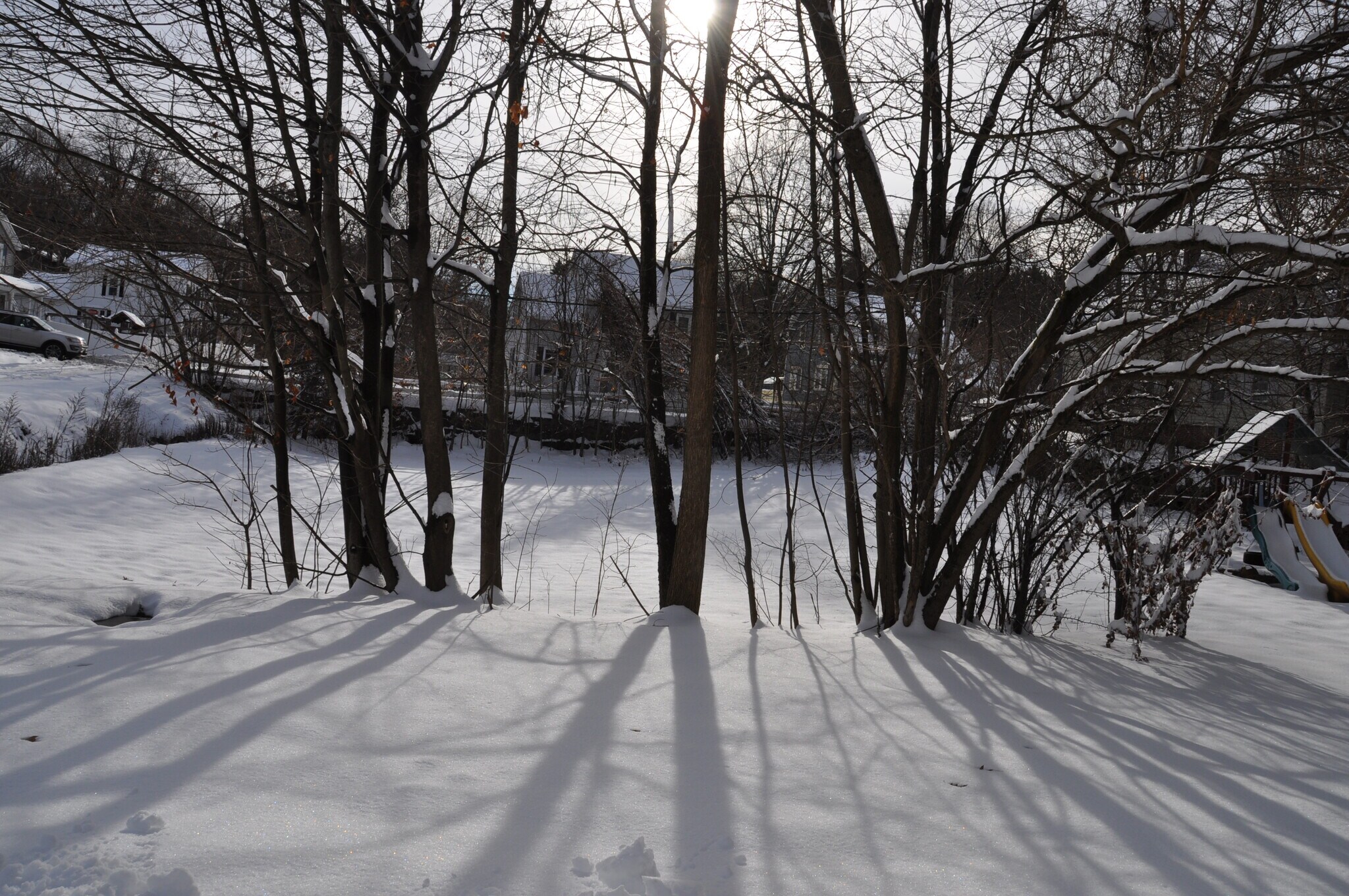 Building Photo - 703 Blossom St