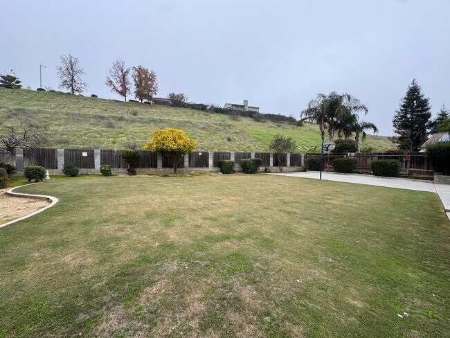 Building Photo - NE Bakersfield home with a sunroom!