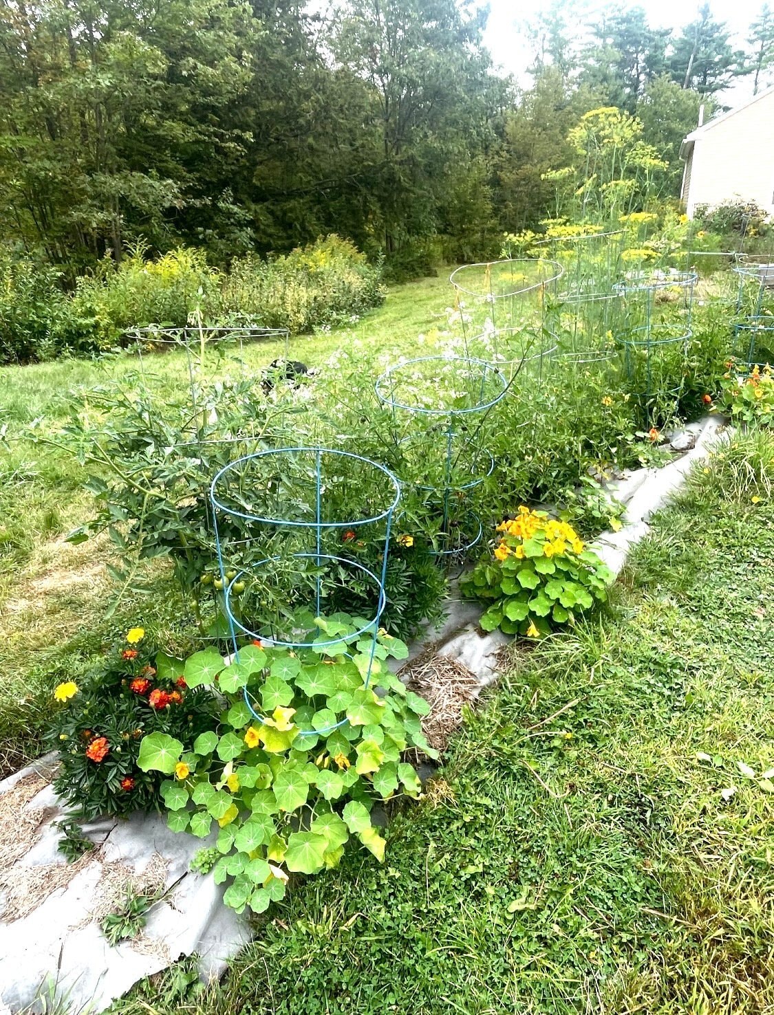 Building Photo - 146 Cathance Rd