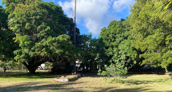 Building Photo - Kekaha 4 bed2 bath on 3/4 acre