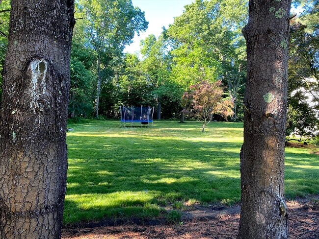 Building Photo - 15 Winchester Dr