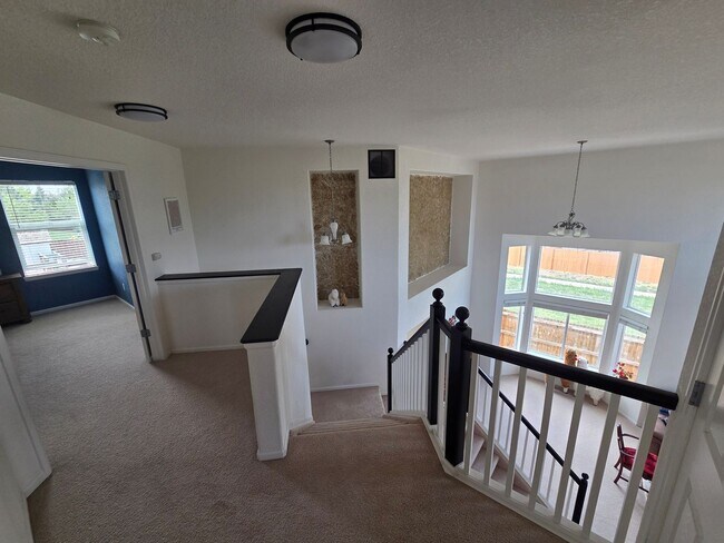 Building Photo - Fantastic Castle Rock 4 Bed 2 1/2 Bath Founders Village Home