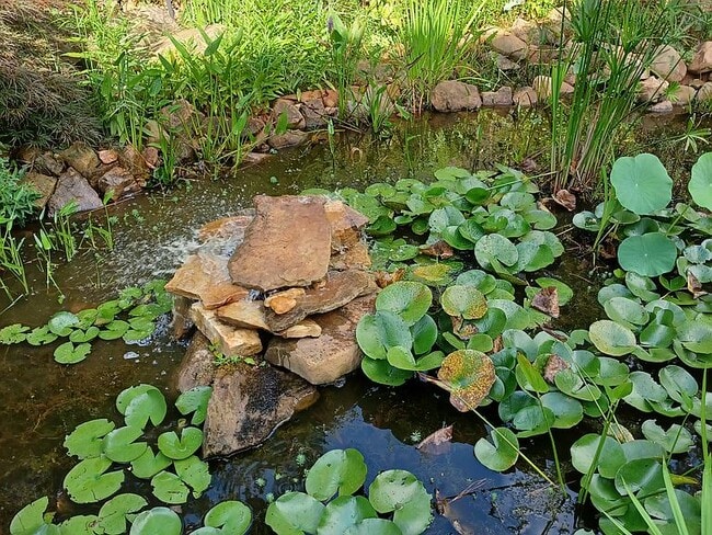 Building Photo - 1348 Brandon Square