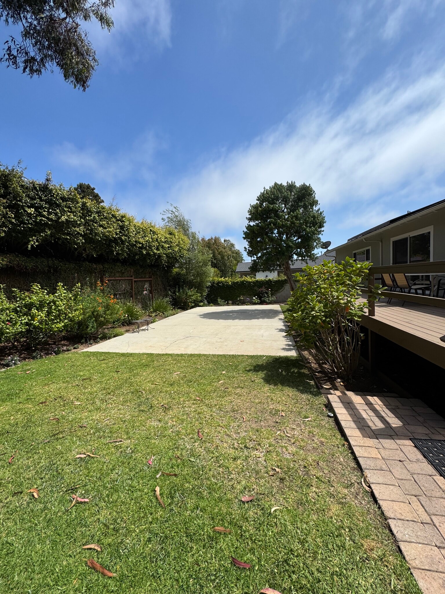 Lower backyard - 304 N Meadows Ave