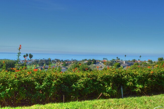 Building Photo - Panoramic ocean view from this 2 bedroom condo up on the hills of San Clemente