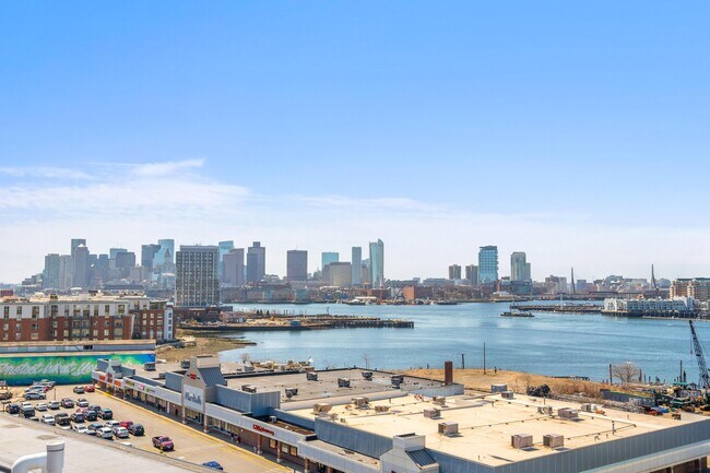 City Skyline view from Roof Terrace - 250 Meridian St