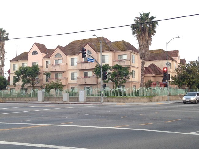 Primary Photo - Arlington Rodeo Apartments