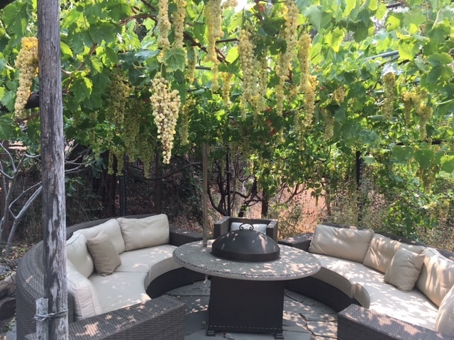 Gazibo - 165 Ramona Rd