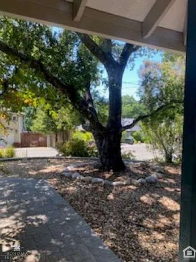 Building Photo - Newly Renovated Detached Studio Cottage!