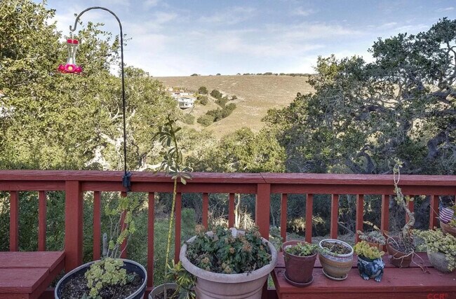 Building Photo - 684 Shamrock Ln