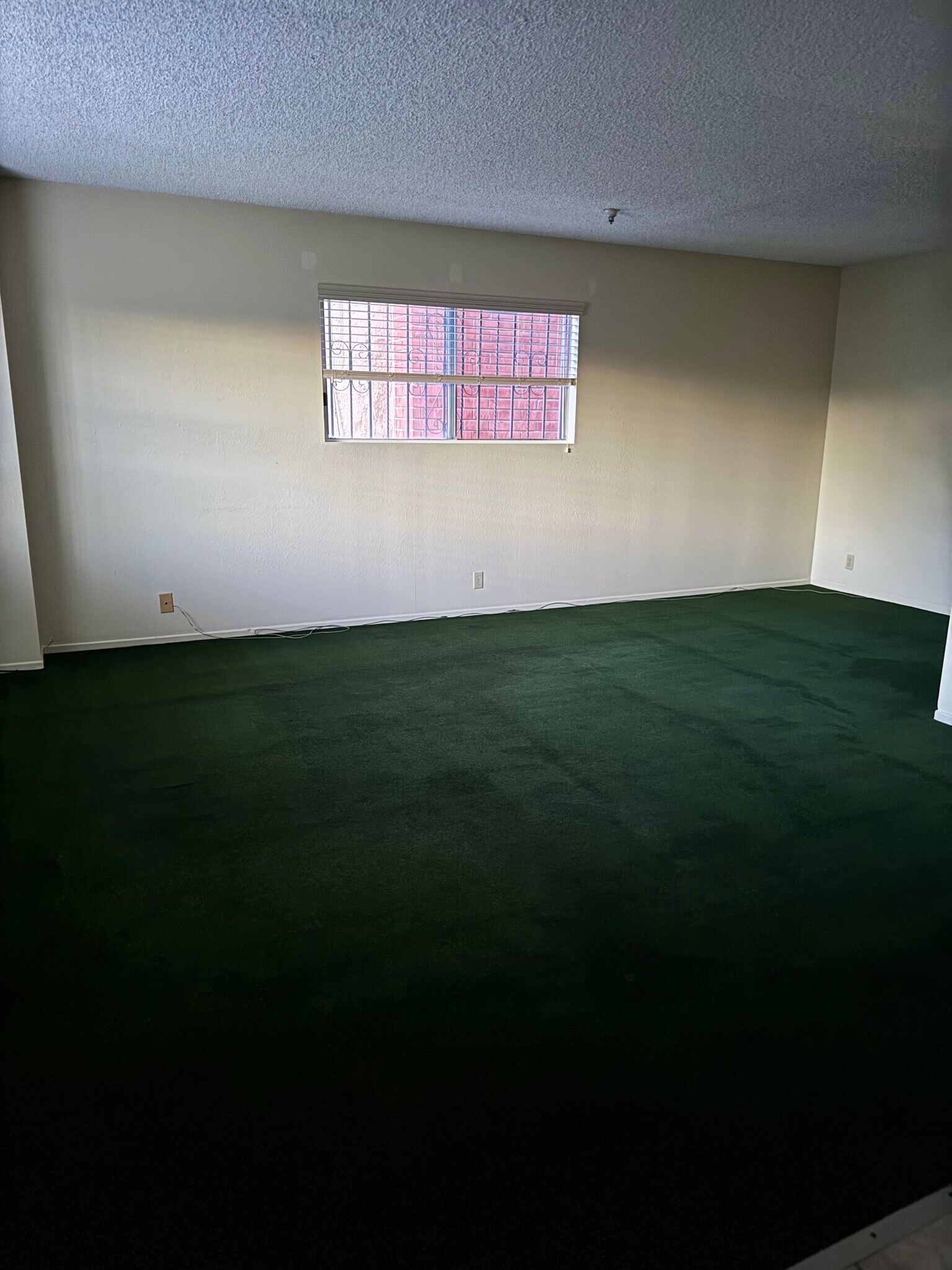 Building Photo - 11724 Truro Ave