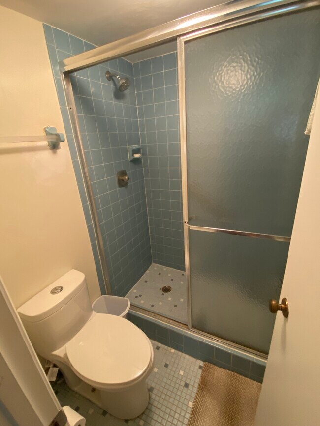 Primary bathroom with walk in shower - 600 Egret Cir