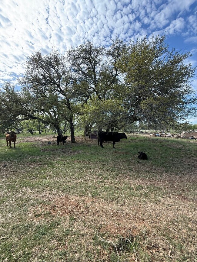 Building Photo - Acreage - HORSE PROPERTY - NO WATER BILL Peaceful Country Living