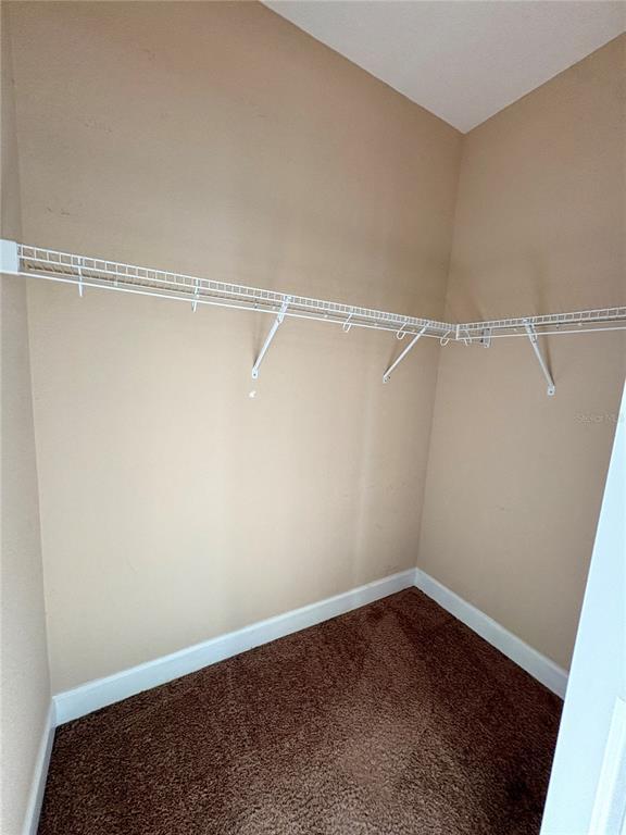 Building Photo - 165 Alexander Woods Dr