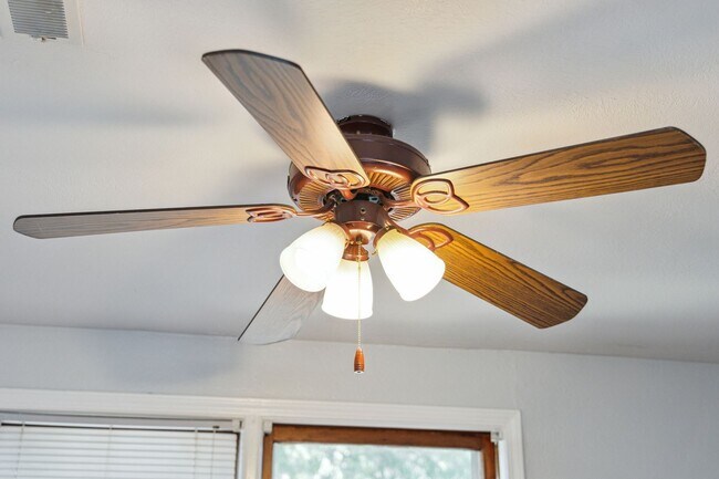 Building Photo - Quaint One Bedroom, Walking Distance To Park Circle