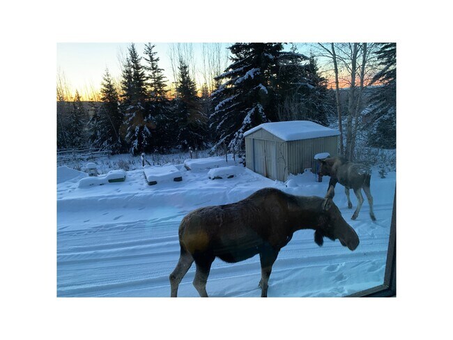 Neighborhood family - 2279 Franklin St