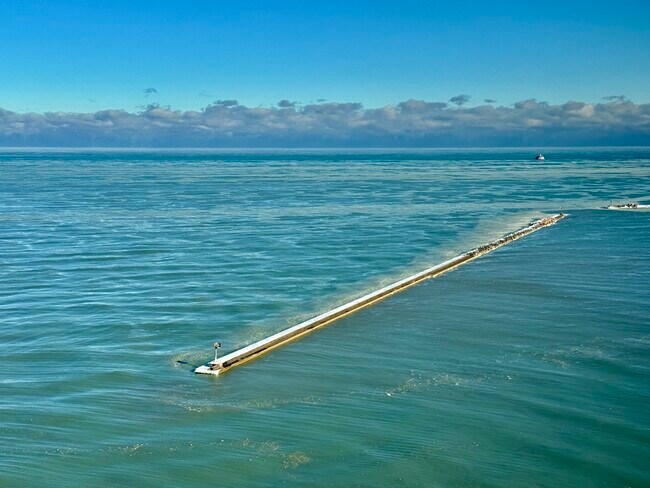 Building Photo - 900 N Lake Shore Dr