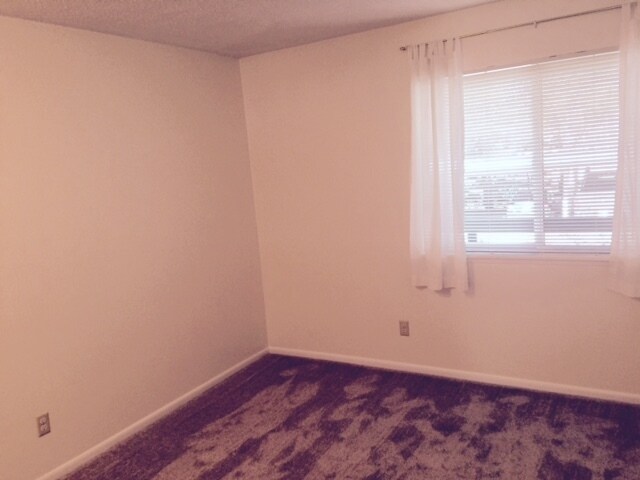 Building Photo - Beautiful Richmond Beach Condo