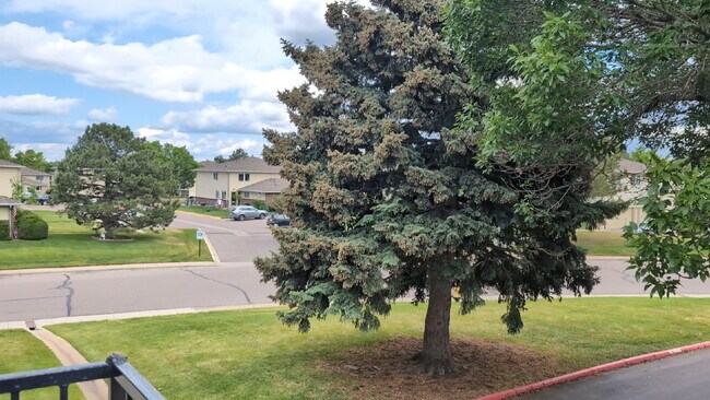 Building Photo - "Charming 2-Bed Condo Retreat in Lakewood ...