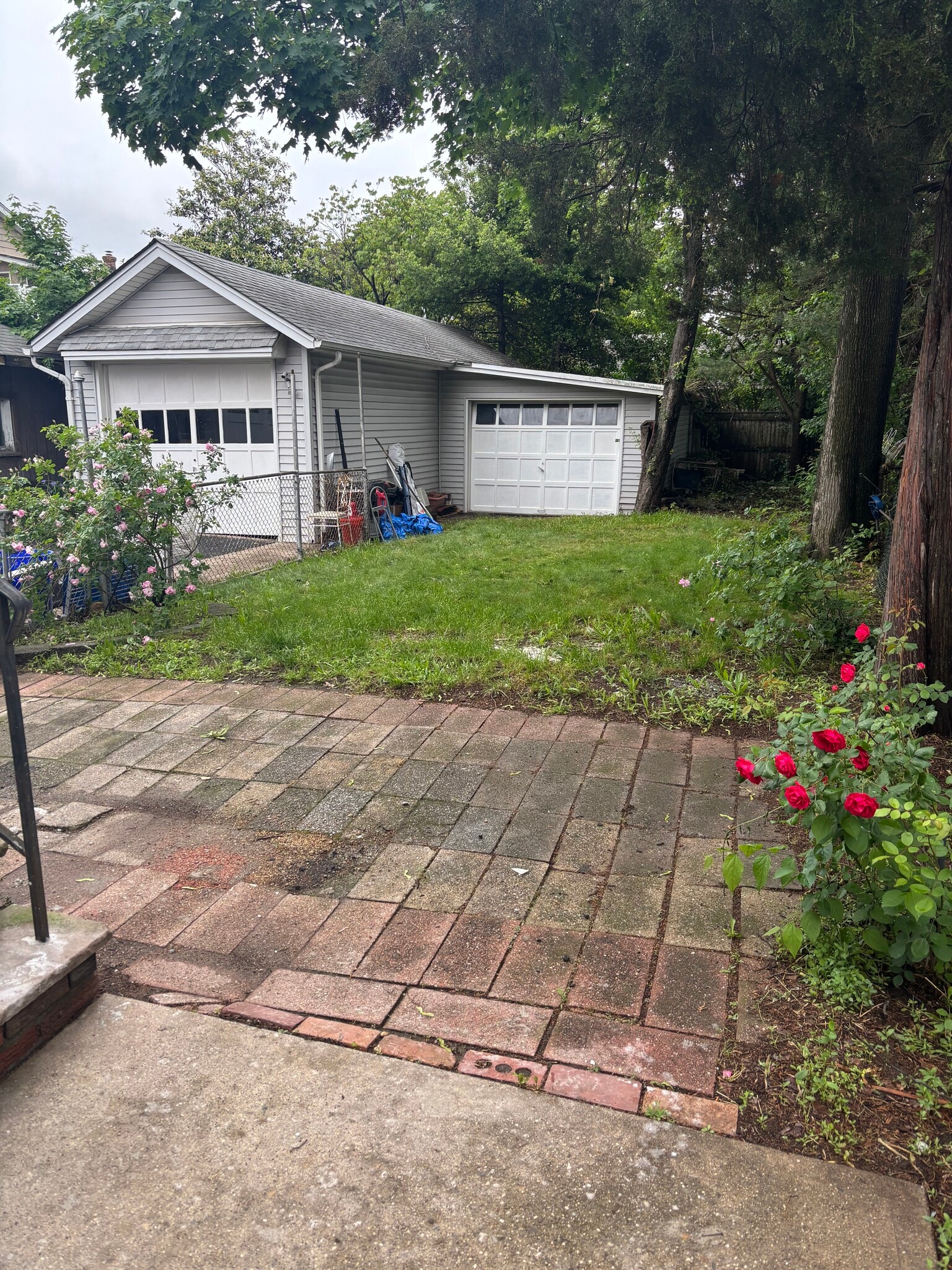 Backyard - 209 Fern Ave
