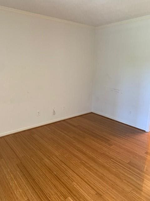 Building Photo - 613 Granville Ct