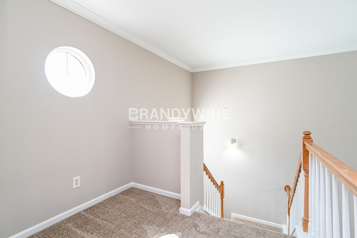 Building Photo - 1014 Little Rock Ct