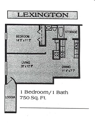 Lexington - Sedgefield Apartments