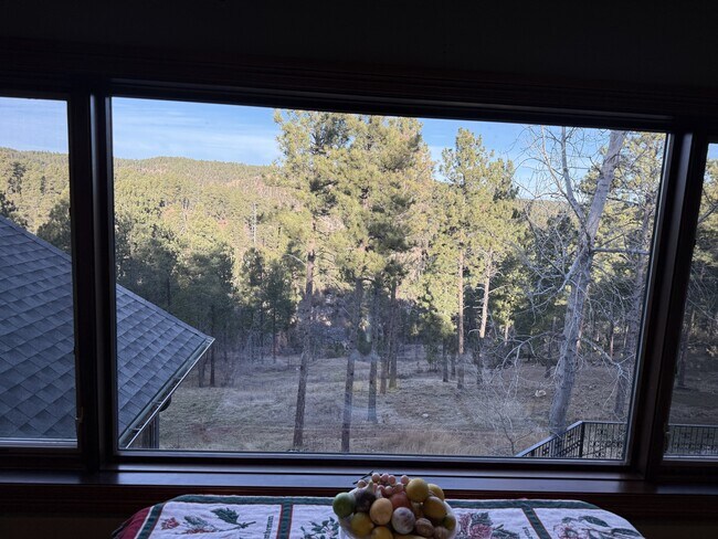 Building Photo - 13646 Twisted Pnes Trl