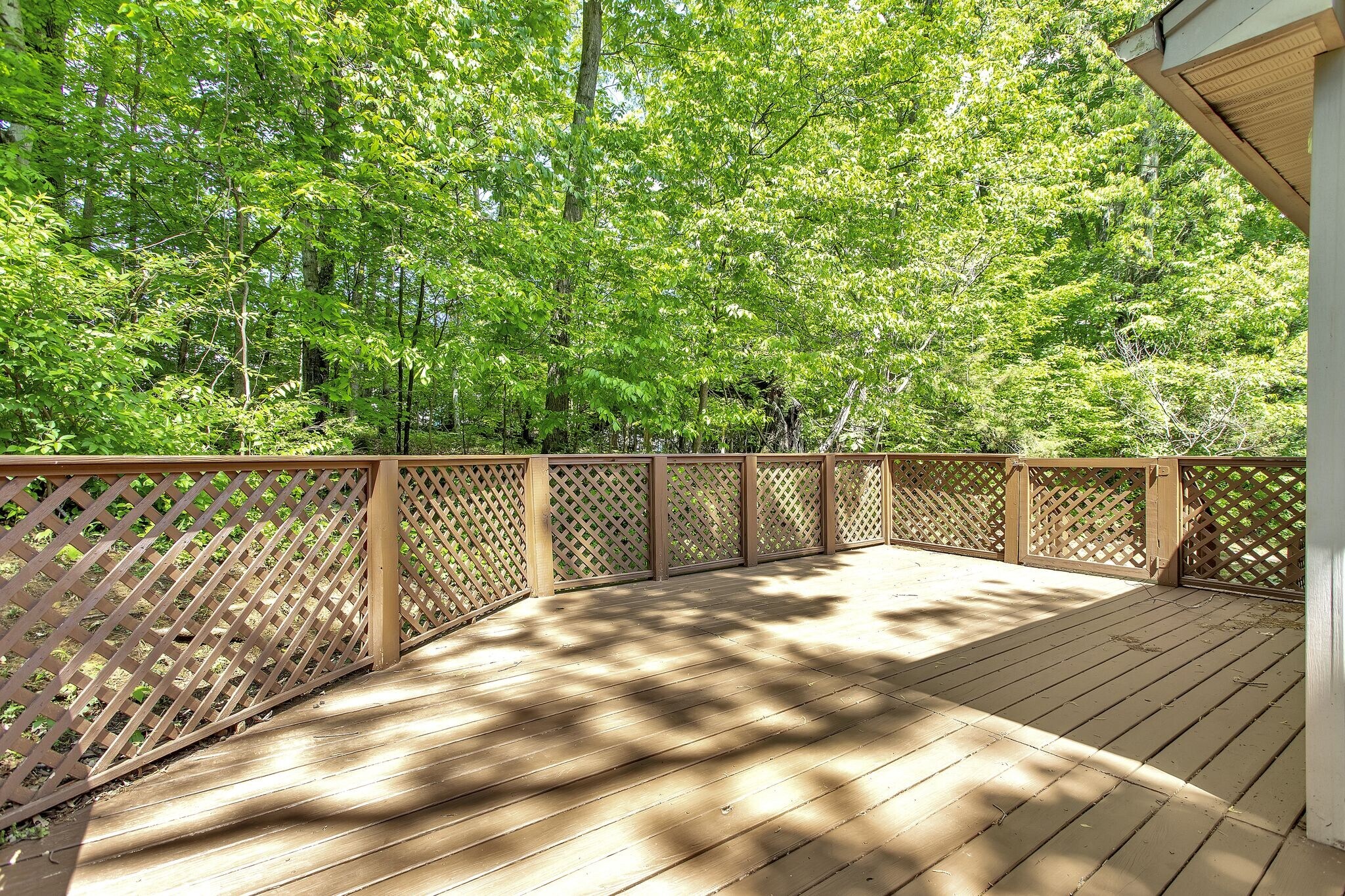 Building Photo - 816 Beazer Ln