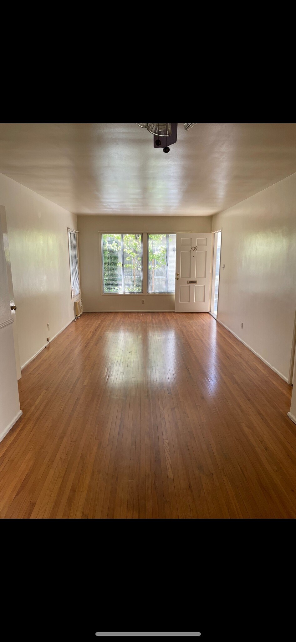 Living Room - 309 Birmingham Rd