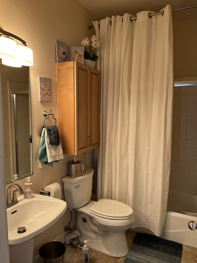 1st floor full bath - 919 Agate St