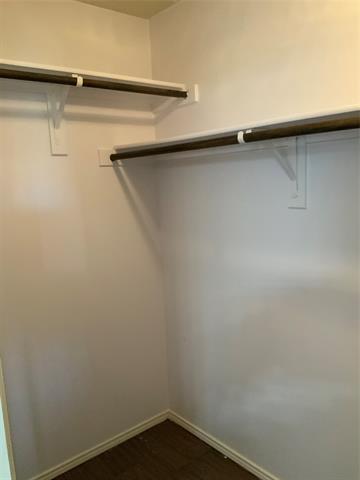 Building Photo - 906 Penny Royal Ct