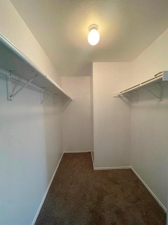 Building Photo - 3403 Caleb Dr