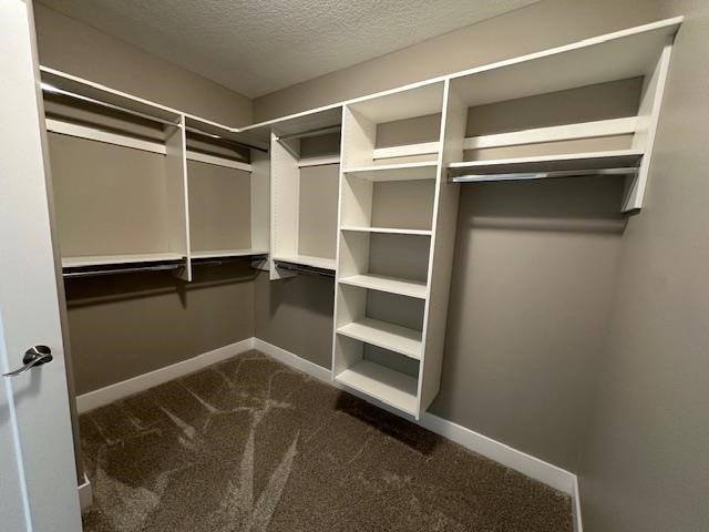 Building Photo - 3232 Plum Tree Ln