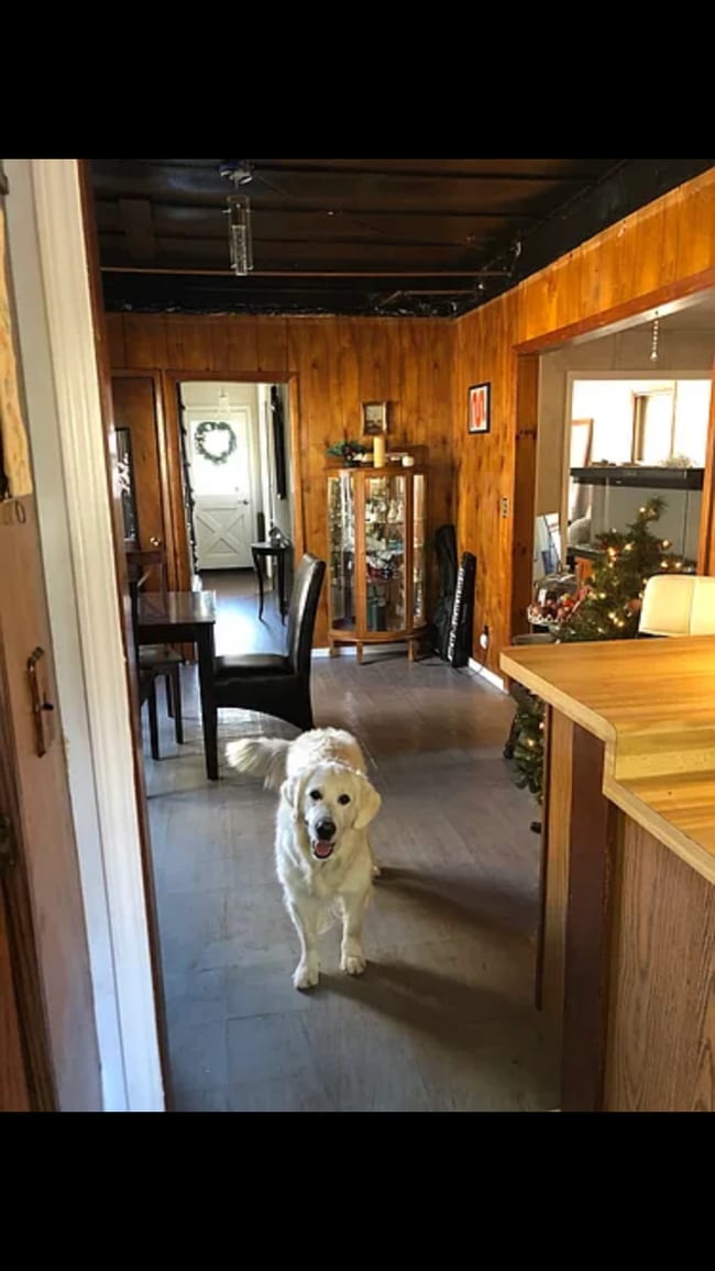 Building Photo - 9 Lincoln St