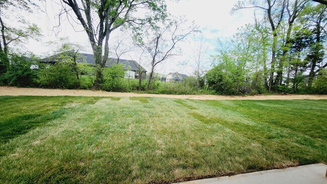 Building Photo - 217 Wesson Dr